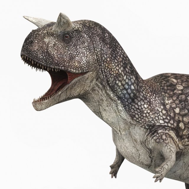 carnotaurus dinosaur 3D Model .c4d .max .obj .3ds .fbx .stl .blend 