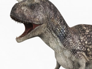 carnotaurus dinosaur 3D 模型