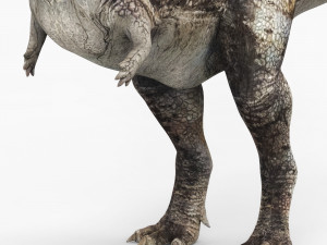 carnotaurus dinosaur 3D Model