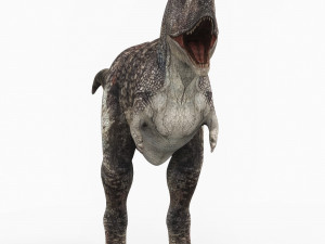 carnotaurus dinosaur 3D Model
