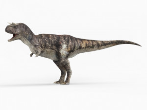 carnotaurus dinosaur 3D Model