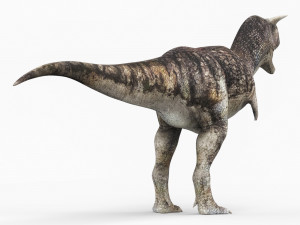 carnotaurus dinosaur 3D Model