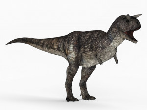 carnotaurus dinosaur 3D Model