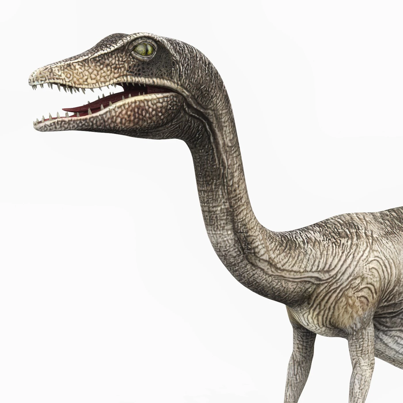 compsognathus dinosaur 3D Model .c4d .max .obj .3ds .fbx .stl .blend