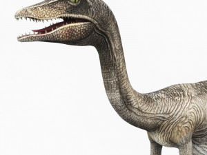 compsognathus dinosaur 3D 模型