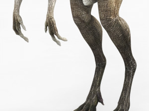 compsognathus dinosaur Modelo 3D