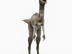 compsognathus dinosaur 3D Model