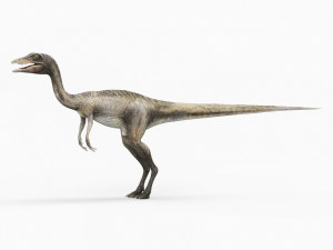 compsognathus dinosaur Modelo 3D