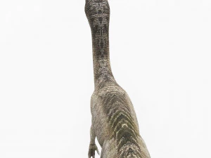 compsognathus dinosaur 3D Model