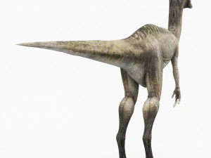 compsognathus dinosaur 3D Model