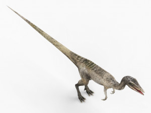 compsognathus dinosaur Modelo 3D