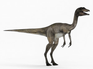 compsognathus dinosaur Modelo 3D
