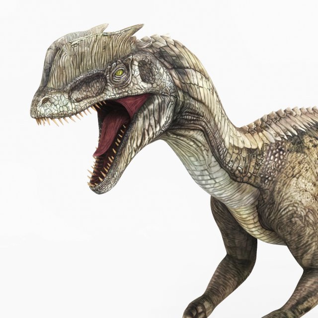 dilophosaurus dinosaur 3Dモデル .c4d .max .obj .3ds .fbx .stl .blend 