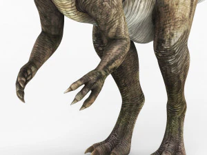 dilophosaurus dinosaur 3D Model