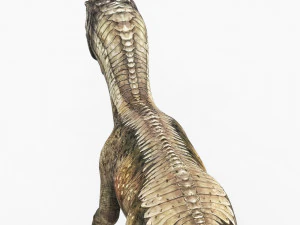 dilophosaurus dinosaur 3D Model