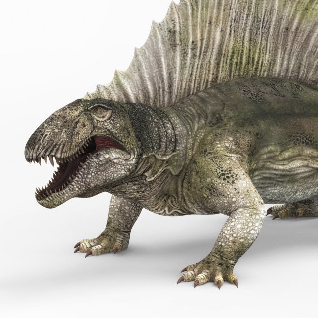 dimetrodon dinosaur Model 3D .c4d .max .obj .3ds .fbx .stl .blend 