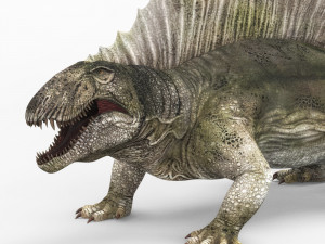 dimetrodon dinosaur 3D 模型