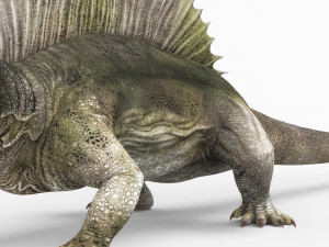 dimetrodon dinosaur Model 3D
