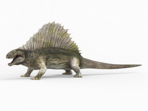 dimetrodon dinosaur Model 3D