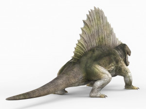 dimetrodon dinosaur Model 3D