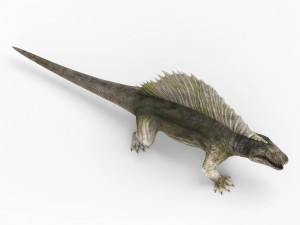 dimetrodon dinosaur Model 3D