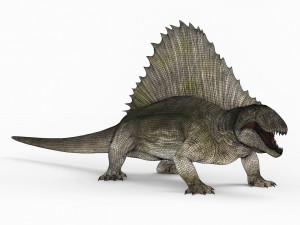 dimetrodon dinosaur Model 3D