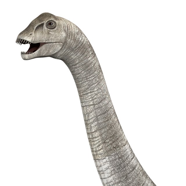 dilophosaurus dinosaur 3D 模型 .c4d .max .obj .3ds .fbx .stl .blend 
