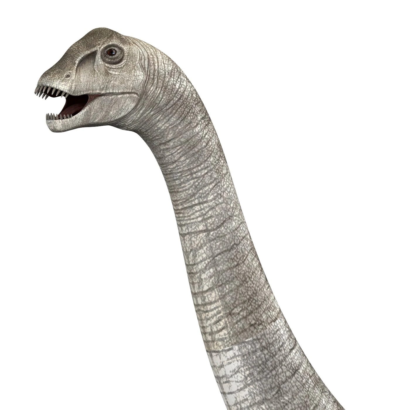 dilophosaurus dinosaur 3D Model .c4d .max .obj .3ds .fbx .stl .blend
