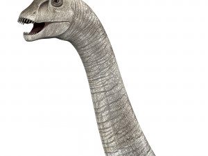 dilophosaurus dinosaur 3D Model