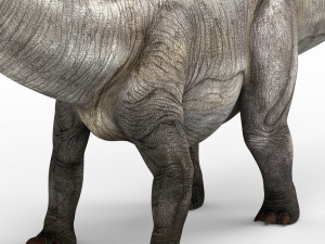 dilophosaurus dinosaur 3D 模型