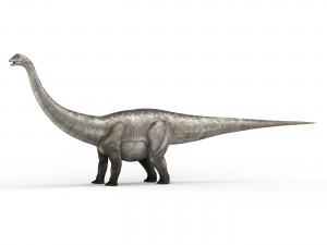 dilophosaurus dinosaur 3D 模型