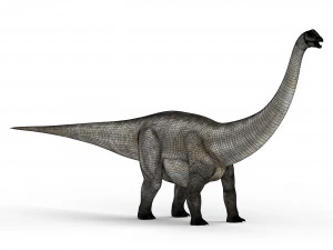 dilophosaurus dinosaur 3D Model