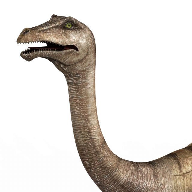 gallimimus dinosaur Modello 3D .c4d .max .obj .3ds .fbx .stl .blend 