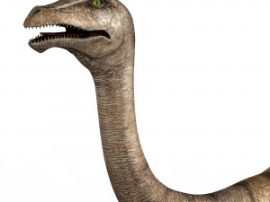 gallimimus dinosaur 3D 模型