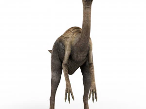 gallimimus dinosaur 3D Model