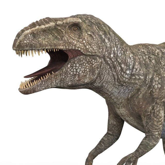 giganotosaurus dinosaur Modelo 3D .c4d .max .obj .3ds .fbx .stl .blend 