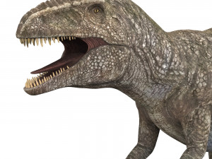 giganotosaurus dinosaur 3D 模型