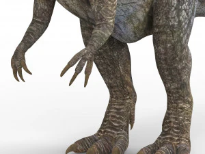 giganotosaurus dinosaur 3D Model