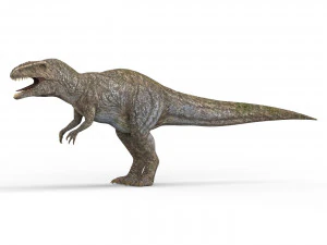 giganotosaurus dinosaur 3D Model
