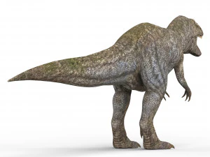 giganotosaurus dinosaur 3D Model