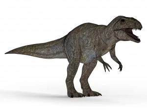 giganotosaurus dinosaur 3D Model