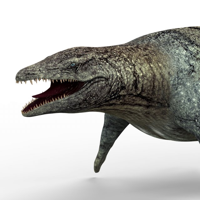 mosasaurus dinosaur 3Dモデル .c4d .max .obj .3ds .fbx .stl .blend 