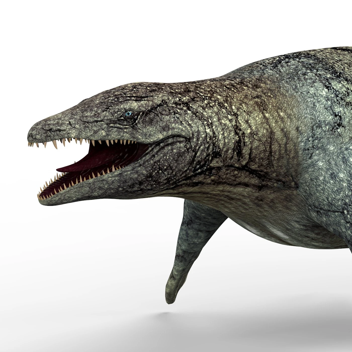 mosasaurus dinosaur 3D Model .c4d .max .obj .3ds .fbx .stl .blend 