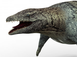mosasaurus dinosaur 3D 模型
