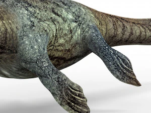 mosasaurus dinosaur 3D Model