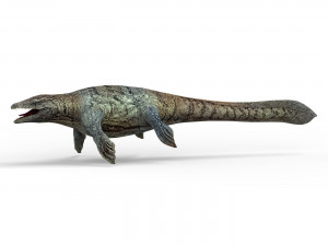 mosasaurus dinosaur 3Dモデル