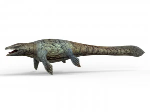 mosasaurus dinosaur 3D Model