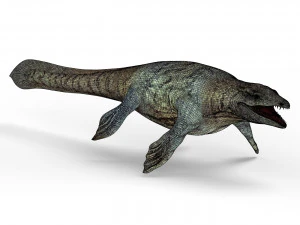 mosasaurus dinosaur 3D Model