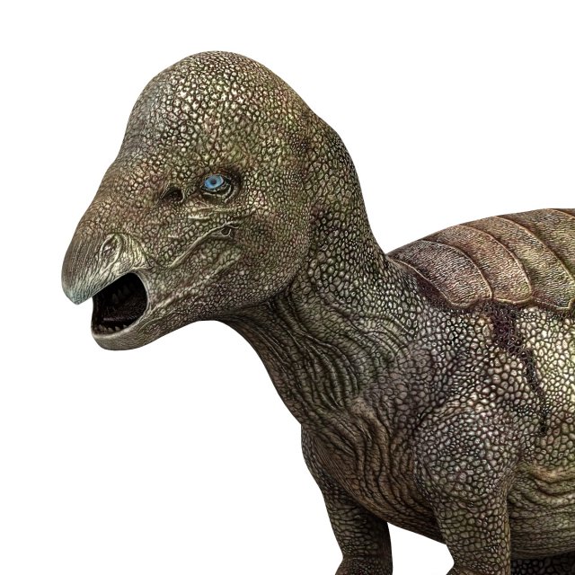 pachycephalosaurus dinosaur 3D Model .c4d .max .obj .3ds .fbx .stl .blend 