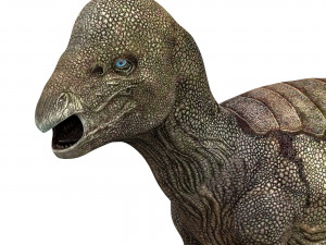 pachycephalosaurus dinosaur 3D 模型